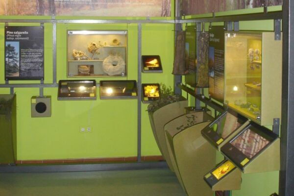 Visitas Guiadas Centro Interpretación