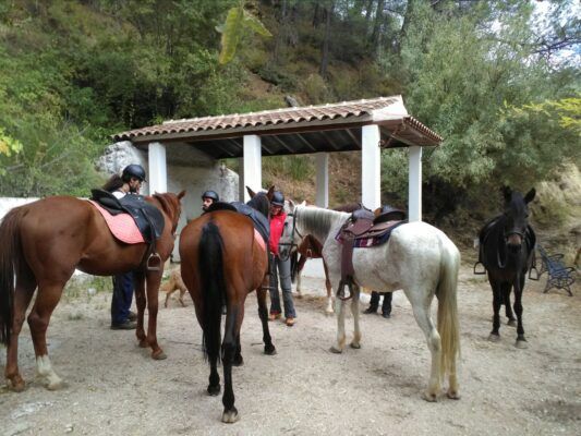 Paseos a Caballo en Cazorla