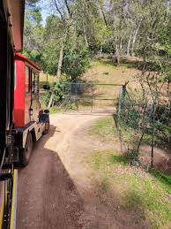 Avistamiento de Fauna en Cazorla